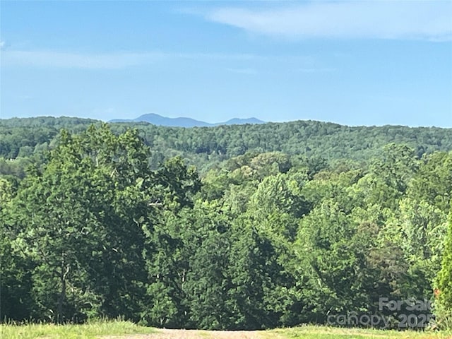 1002 Cc Rd, Rutherfordton, NC 28139 - photo 3