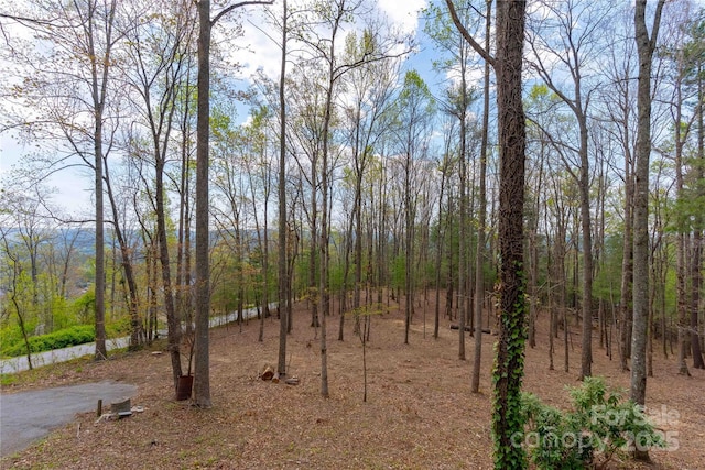39 Tatham Rd, Hendersonville, NC 28792 - view of nature