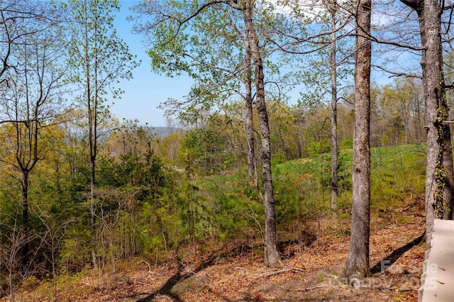 39 Tatham Rd, Hendersonville, NC 28792 - view of landscape with a forest view