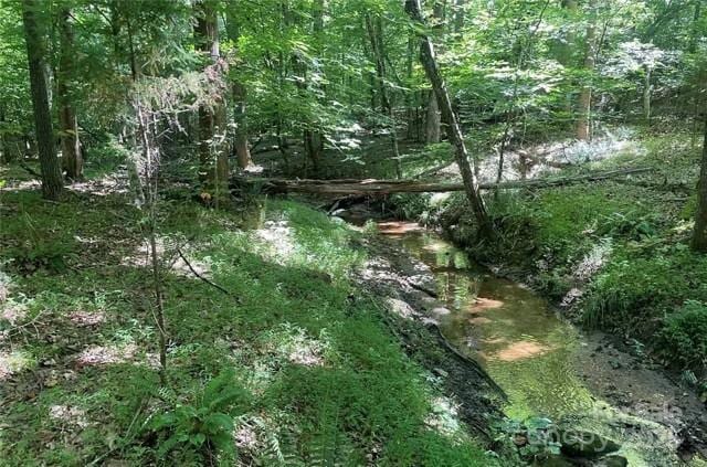926 Cross Creek Dr, Rutherfordton, NC 28139 - view of nature