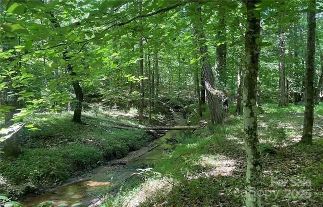 926 Cross Creek Dr, Rutherfordton, NC 28139 - view of nature