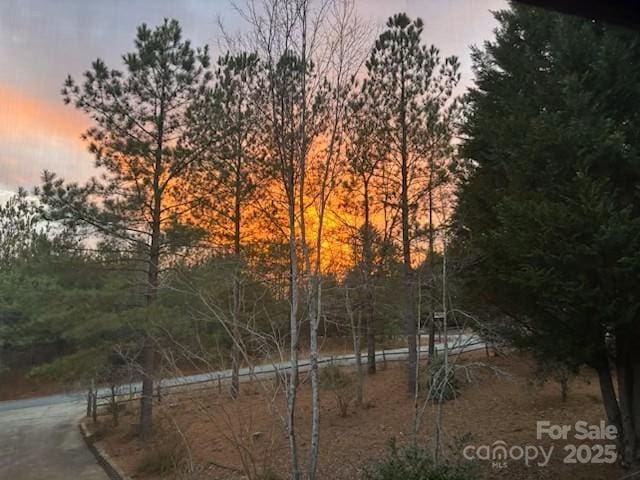 926 Cross Creek Dr, Rutherfordton, NC 28139 - view of undeveloped land