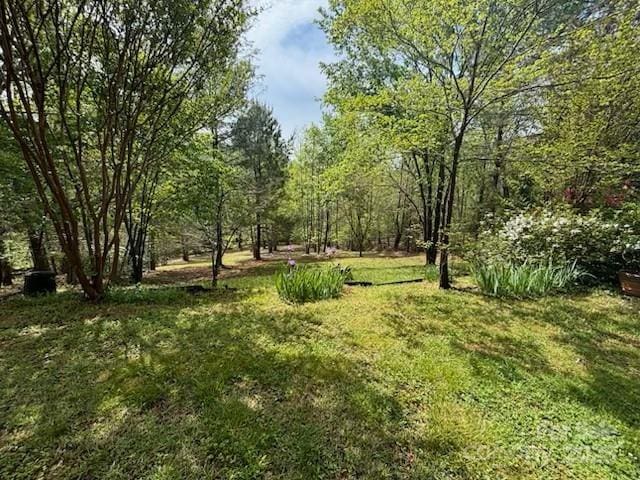 926 Cross Creek Dr, Rutherfordton, NC 28139 - view of green lawn