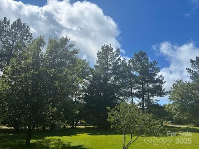 926 Cross Creek Dr, Rutherfordton, NC 28139 - photo 38