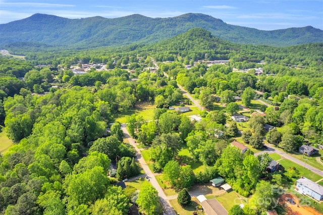 bird's eye view with a view of trees and a mountain view