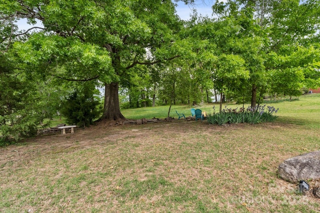 176 Jennymarie Rd, Mooresville, NC 28115 - view of green lawn