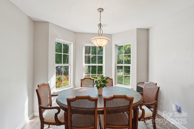 9200 Forest Green Dr, Charlotte, NC 28227 - dining area with light wood-style flooring and baseboards