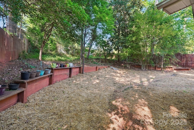 9200 Forest Green Dr, Charlotte, NC 28227 - view of yard with a fenced backyard