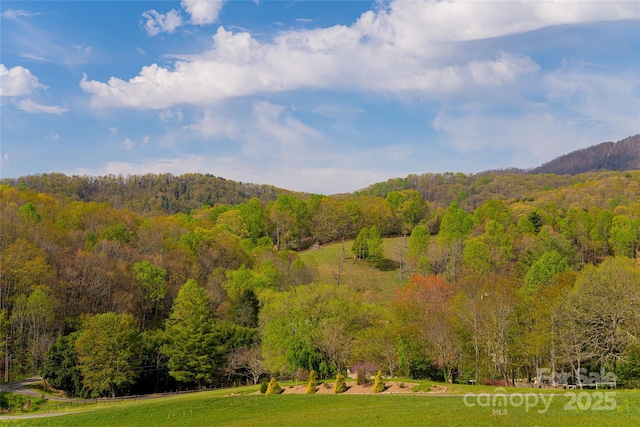 property view of mountains featuring a view of trees