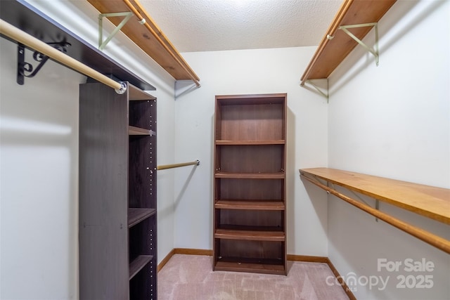362 Cowan Valley Ests, Sylva, NC 28779 - walk in closet with carpet floors