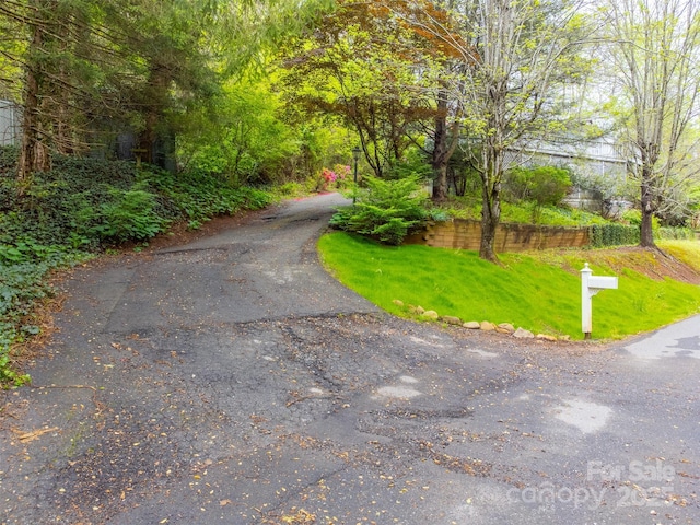 362 Cowan Valley Ests, Sylva, NC 28779 - view of asphalt road