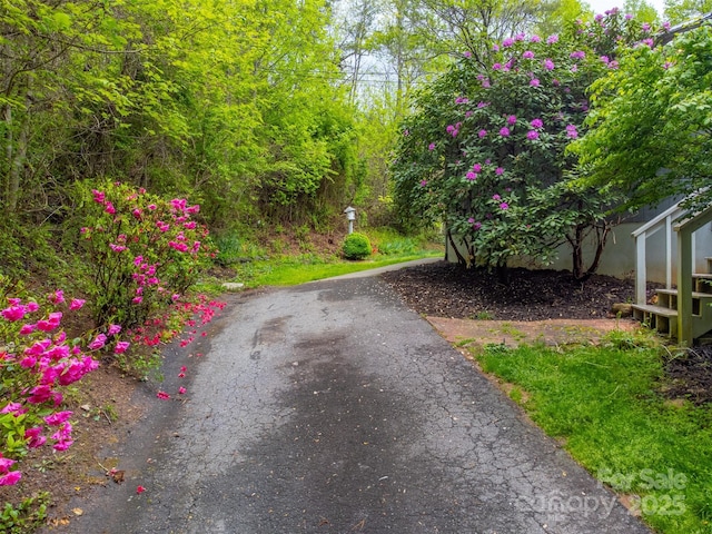 362 Cowan Valley Ests, Sylva, NC 28779 - view of yard featuring asphalt driveway