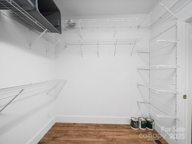 walk in closet featuring wood finished floors