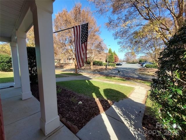 view of yard