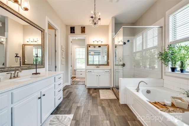 full bath featuring a sink, wood finished floors, a wealth of natural light, and a shower stall
