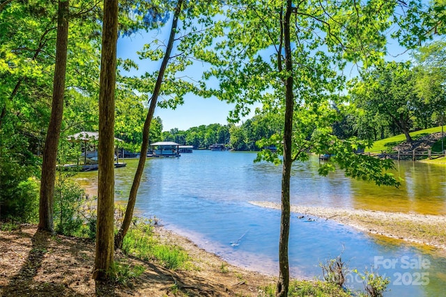 288 Ridge Reserve Dr, Lake Wylie, SC 29710 - photo 47