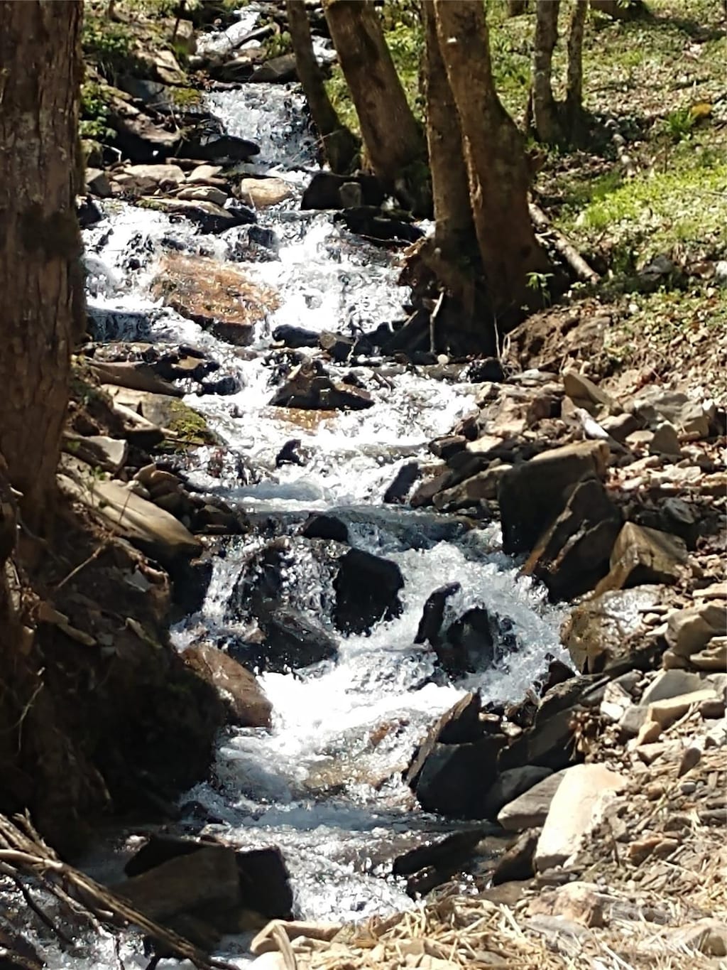 9999 Clara Corn Dr, Maggie Valley, NC 28751