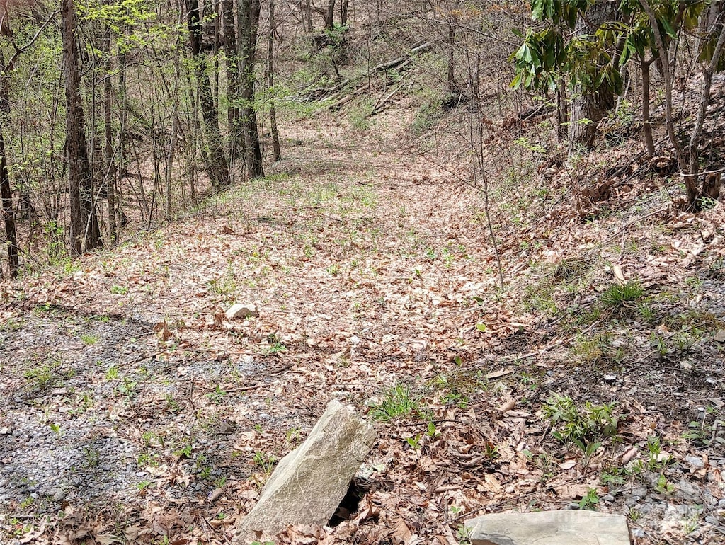 9999 Clara Corn Dr, Maggie Valley, NC 28751