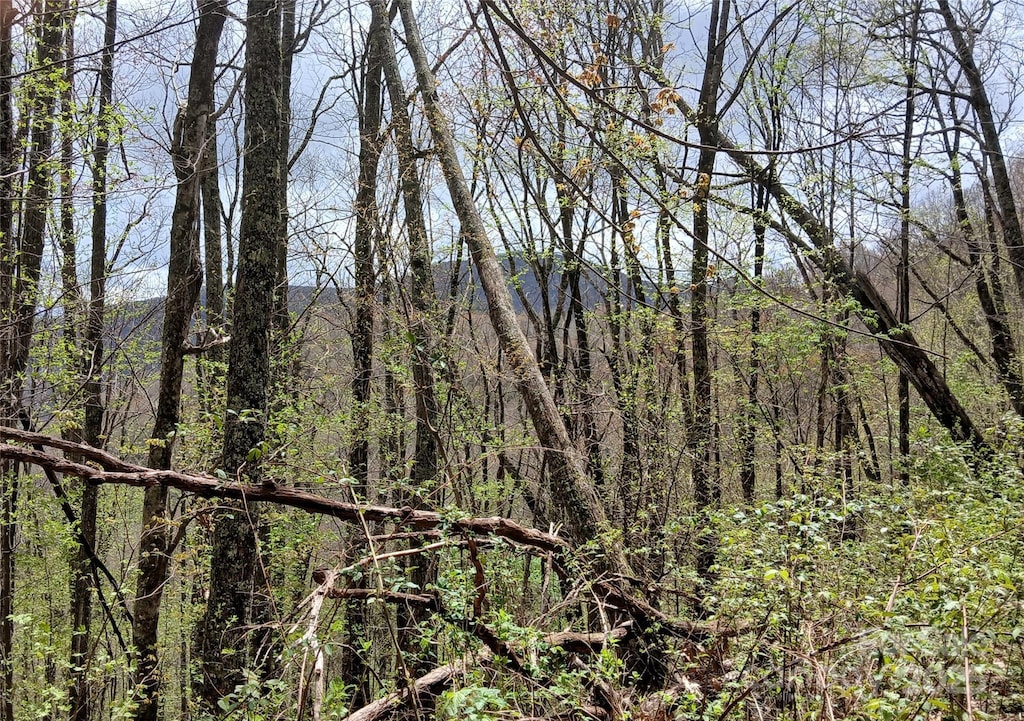 9999 Clara Corn Dr, Maggie Valley, NC 28751