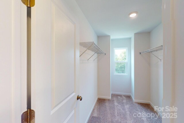 1115 Overbrook Pl, Wingate, NC 28174 - photo 19