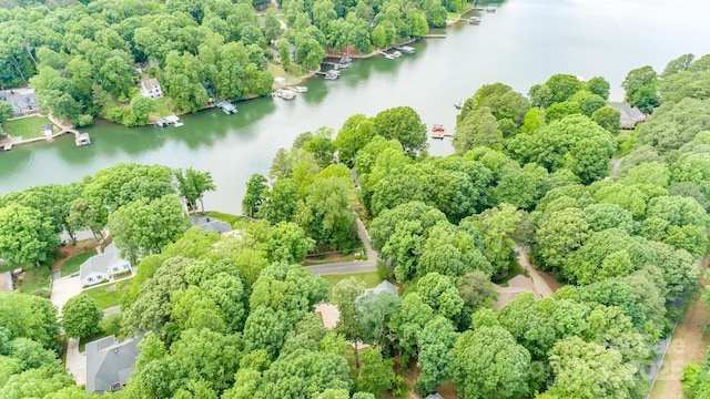 141 Culpeze Rd, Mooresville, NC 28117 - bird's eye view of a large body of water
