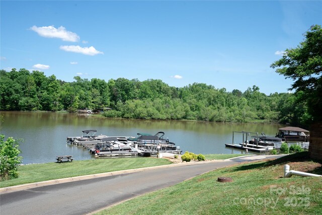 134 Walmsley Pl, Mooresville, NC 28117 - dock area featuring a water view and a wooded view