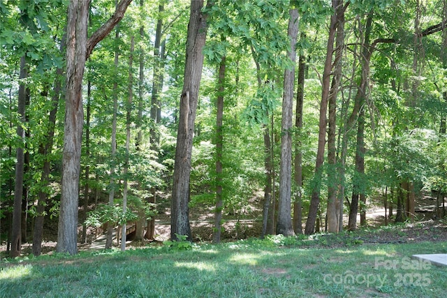 134 Walmsley Pl, Mooresville, NC 28117 - view of landscape with a view of trees