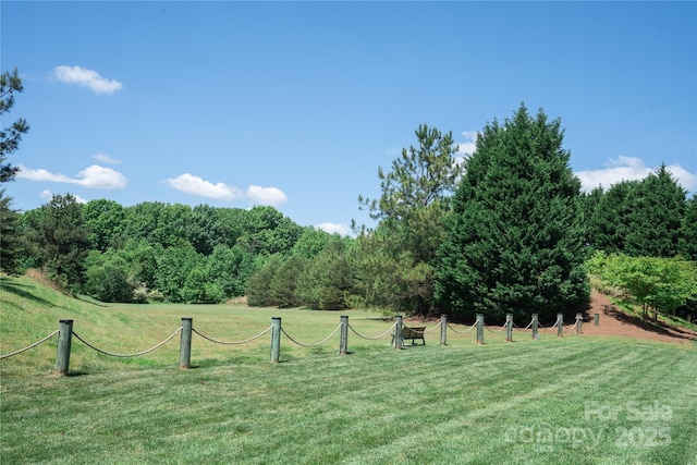 134 Walmsley Pl, Mooresville, NC 28117 - view of yard with a view of trees