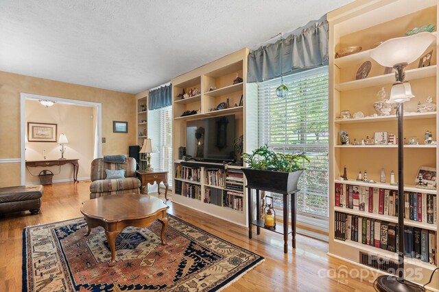 living area with wood finished floors and a textured ceiling