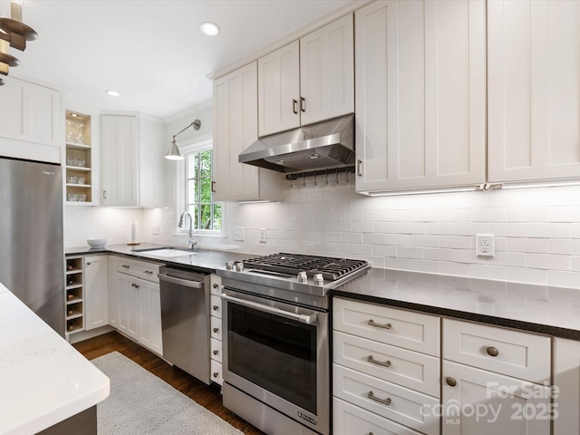 kitchen featuring decorative backsplash, appliances with stainless steel finishes, under cabinet range hood, a sink, and white cabinetry