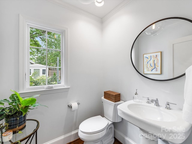 bathroom featuring baseboards, toilet, crown molding, and a sink