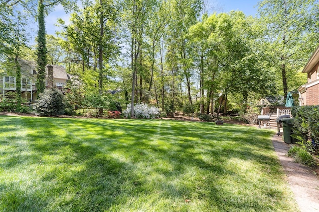 14812 Stonegreen Ln, Huntersville, NC 28078 - view of yard