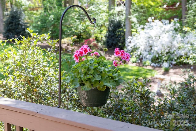 14812 Stonegreen Ln, Huntersville, NC 28078 - view of details