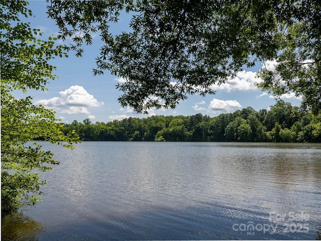 170 Atwater Landing Dr, Mooresville, NC 28117 - photo 32
