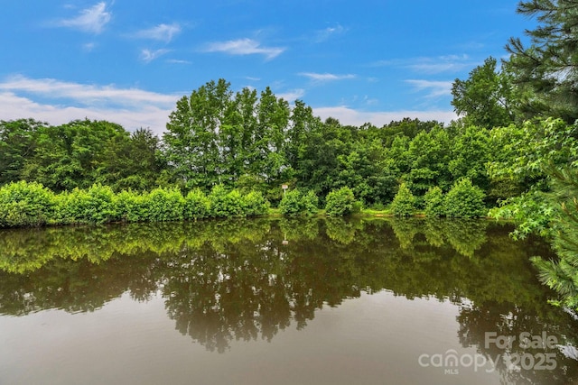 1607 Old Lawyers Rd, Marshville, NC 28103 - water view