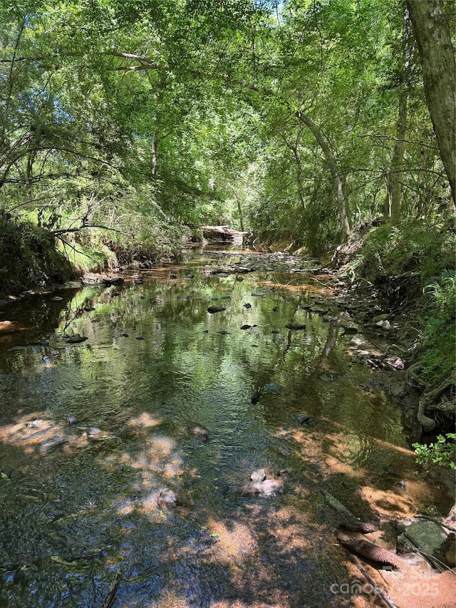 1607 Old Lawyers Rd, Marshville, NC 28103 - view of tree filled area