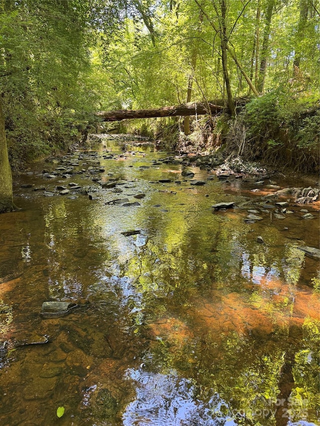 1607 Old Lawyers Rd, Marshville, NC 28103 - water view featuring a forest
