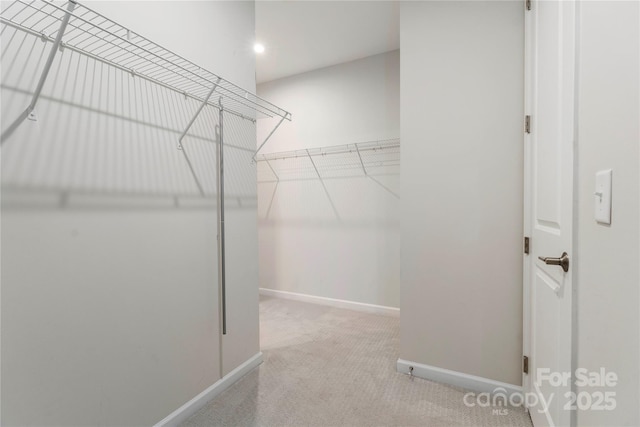 walk in closet featuring carpet floors