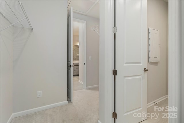 hall featuring baseboards, electric panel, and light colored carpet