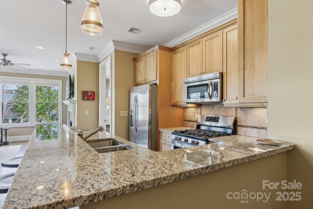 350 E Allen St Unit 201, Hendersonville, NC 28792 - kitchen with appliances with stainless steel finishes, a sink, crown molding, backsplash, and light stone countertops