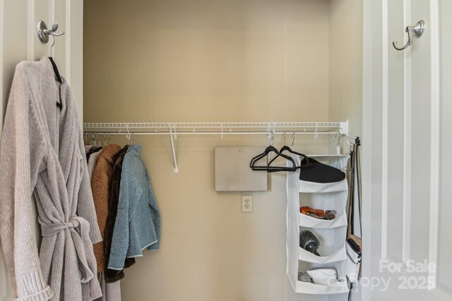 350 E Allen St Unit 201, Hendersonville, NC 28792 - view of spacious closet