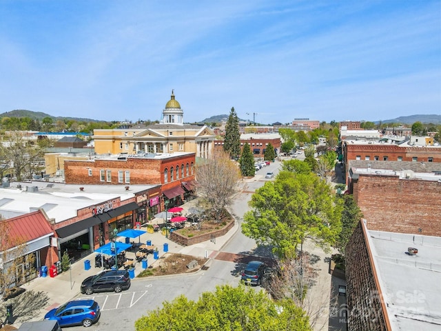 350 E Allen St Unit 201, Hendersonville, NC 28792 - bird's eye view of a mountain backdrop