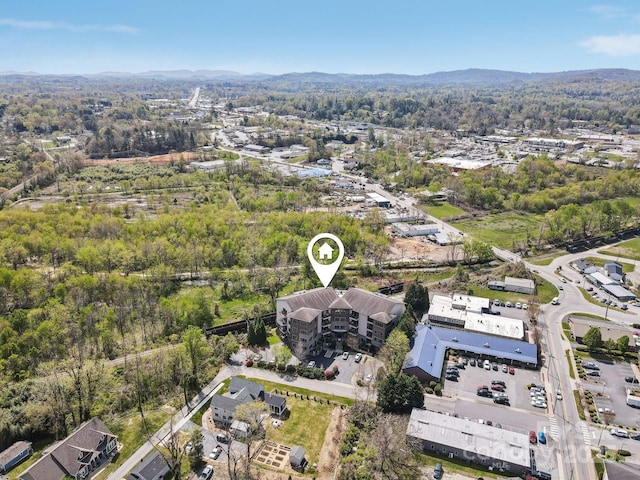350 E Allen St Unit 201, Hendersonville, NC 28792 - aerial view of property's location with a heavily wooded area and a mountain backdrop