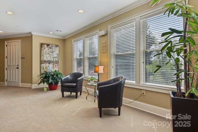 350 E Allen St Unit 201, Hendersonville, NC 28792 - sitting room featuring baseboards, carpet, crown molding, and recessed lighting
