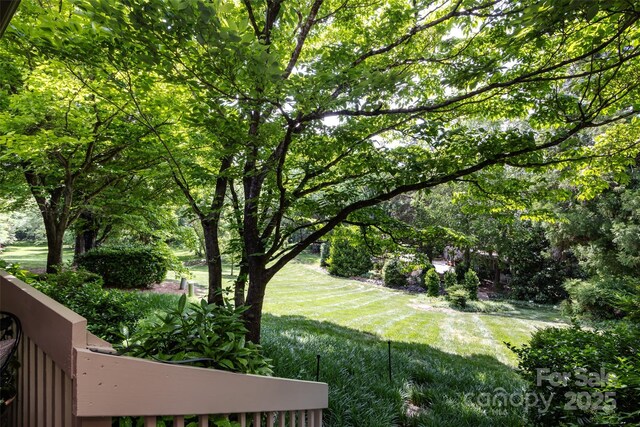 5128 Dunes Ct, Charlotte, NC 28226 - view of green lawn