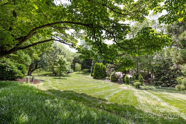 5128 Dunes Ct, Charlotte, NC 28226 - view of grassy yard