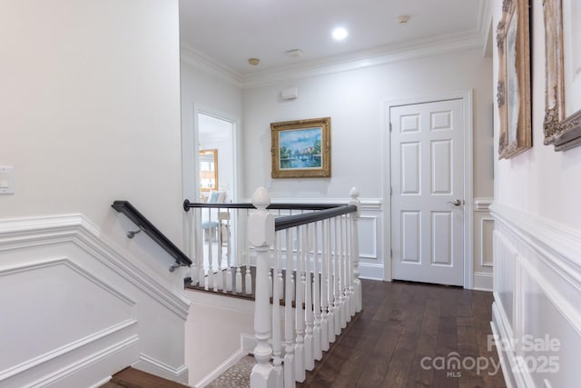 6231 Wakehurst Rd, Charlotte, NC 28226 - staircase with a decorative wall, hardwood / wood-style floors, ornamental molding, and wainscoting