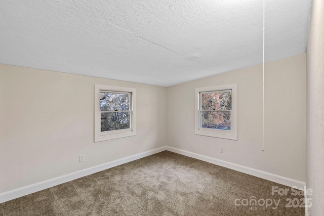 456 Newtown Rd, Rosman, NC 28772 - carpeted spare room featuring baseboards, lofted ceiling, and a textured ceiling