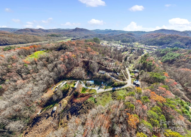 456 Newtown Rd, Rosman, NC 28772 - bird's eye view featuring a wooded view and a mountain view