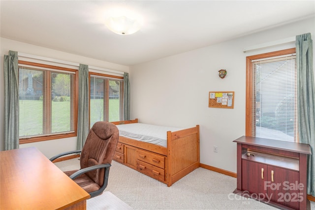 196 Timberline Dr, Maggie Valley, NC 28751 - bedroom with baseboards and light colored carpet